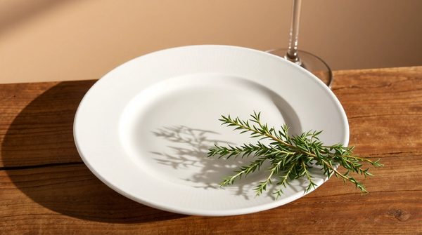 Vaisselle en grès ou porcelaine : laquelle sublime votre table ?